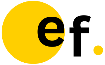 Elite Flint logo